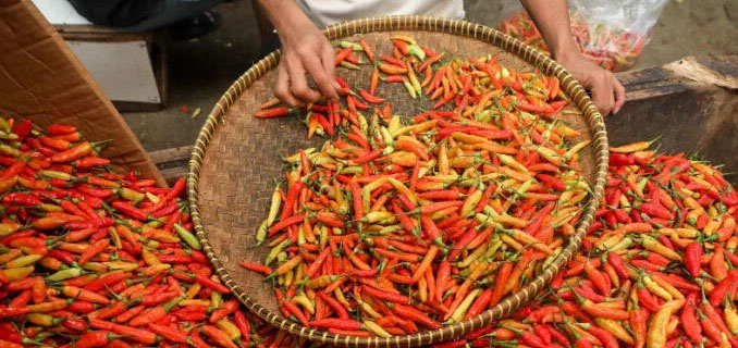 Harga Cabai dan Telur di Jakarta Timur Naik Jelang Nataru