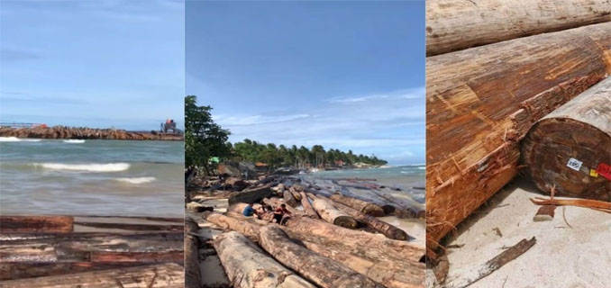 Kandas di Lampung, Ribuan Kayu Berlabel Legal Kemenhut Ditelusuri Asal-usulnya